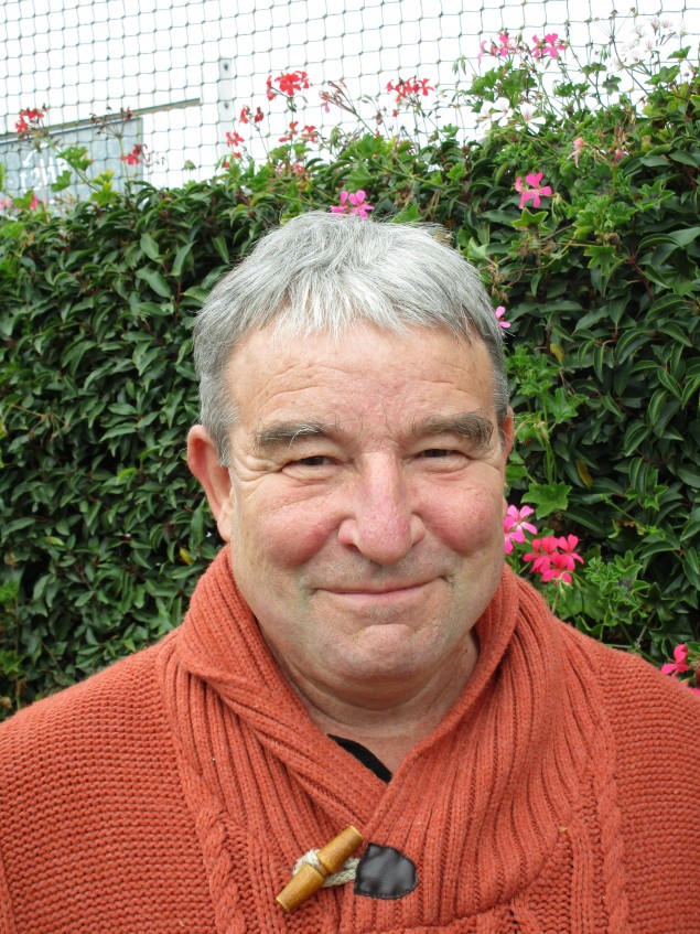 Pierre Michelard, Conseiller municipal
